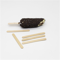 Ice cream stick from mmcis china